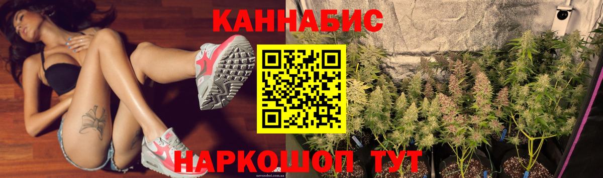 Бошки Шишки сатива Ивантеевка